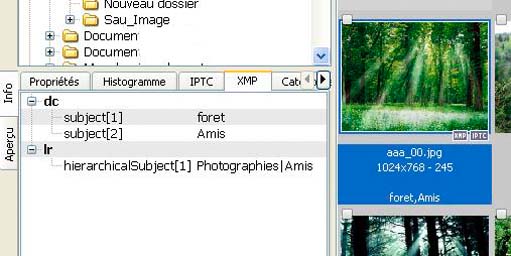 Categorisation_2.jpg