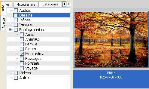 Categorisation_0.jpg