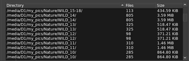 xnview-db-duplicates.png