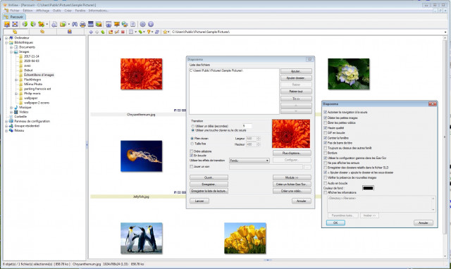xnview_navigation-souris.jpg
