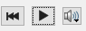 Video Playback Controls.png