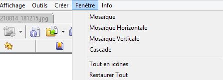 xnview_mosaique.jpg