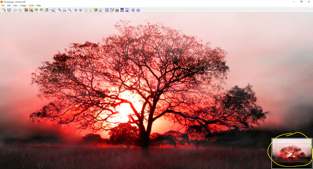 preview pane.png