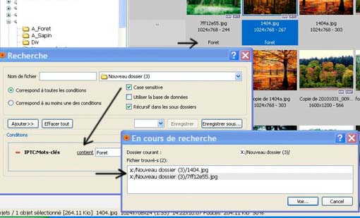 RechercheCaseSensitive2.jpg