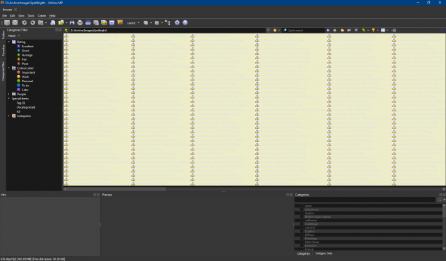 XnViewMP 0.99.png