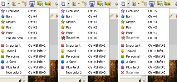 Note-Etoile_2.jpg