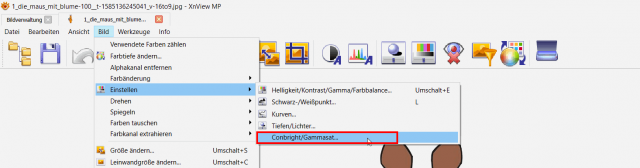20211007_XnviewMP Languages mixed up in some functions_01.png