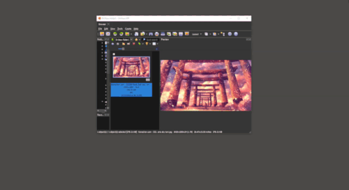 XnViewMP - Flash (2).gif