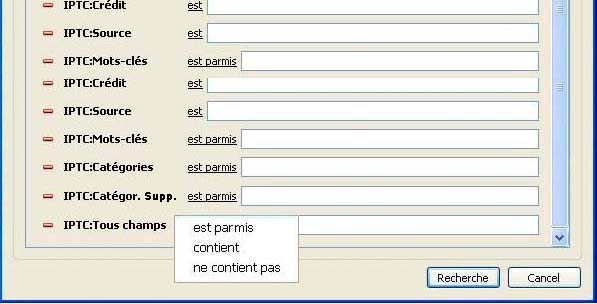 RechercheChoixNeContientPas.jpg