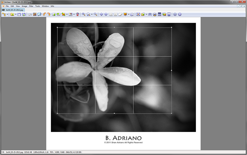 Rule of thirds Mockup