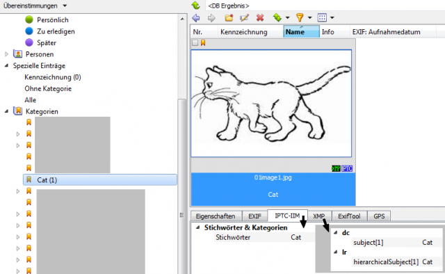 cat2.png