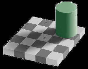 gray_resized.png