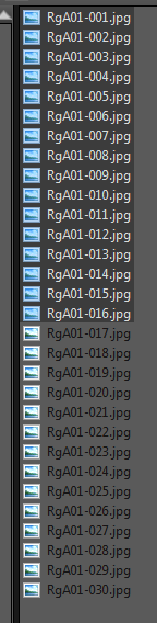 Capture1.PNG
