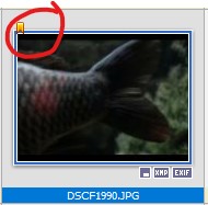 Screenshot 2021-12-30 075427.jpg