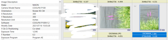 Screenshot_294.png