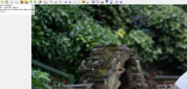 2022-01-14 20_10_59-XnViewMP.png