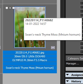 Tooltips2.jpg