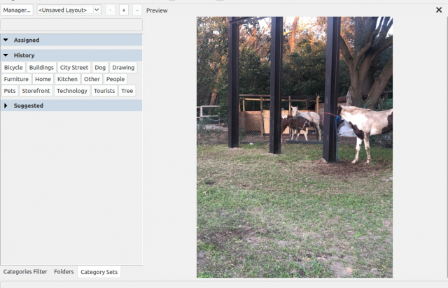 xnview-issue.png