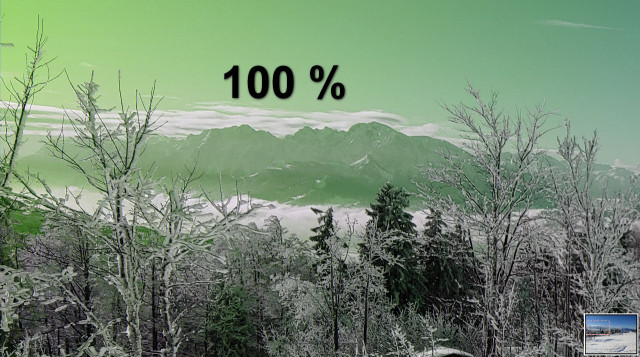 100 percent.jpg