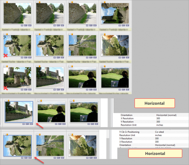 SnagIt-02022022 132620.png