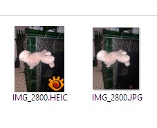 thumbnails  windows.jpg