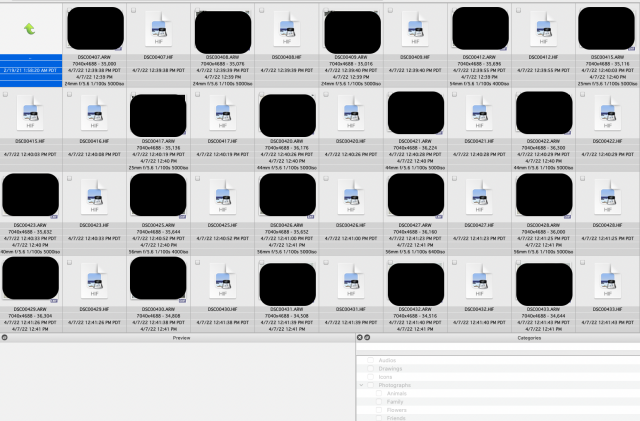 Screen Shot 2022-04-12 at 10.07.32 PM.png
