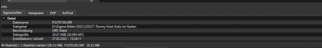 Crazy file.jpg