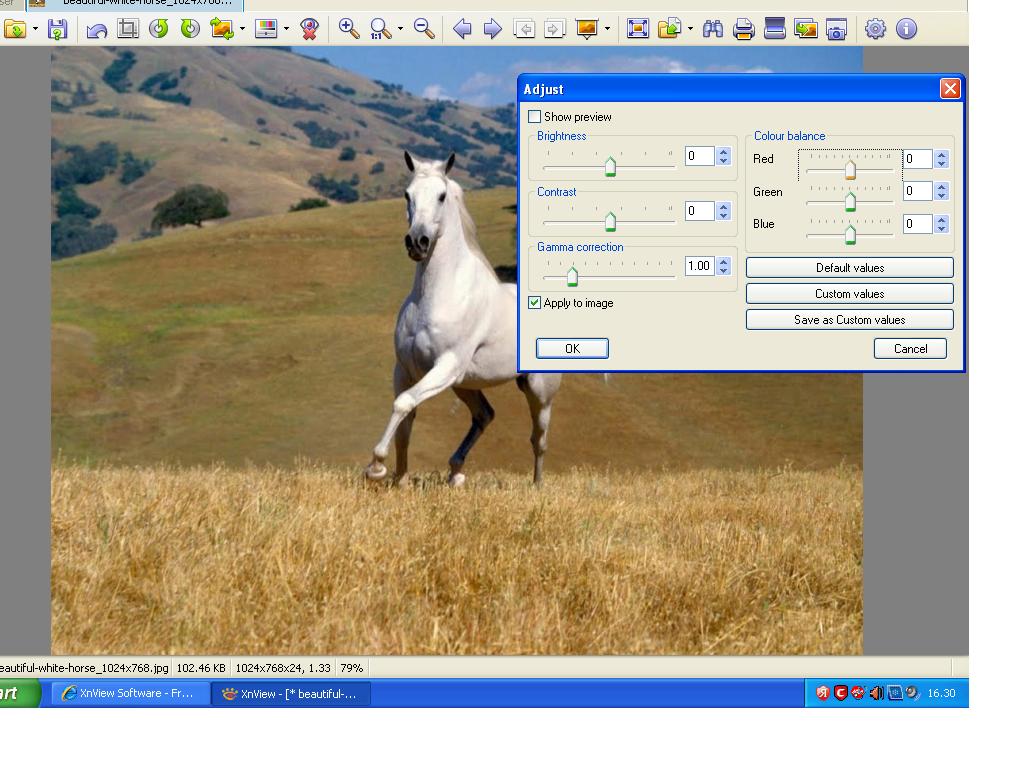 XnView 1.JPG