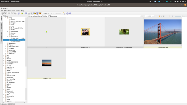 XnView MP small thumbnails example.png
