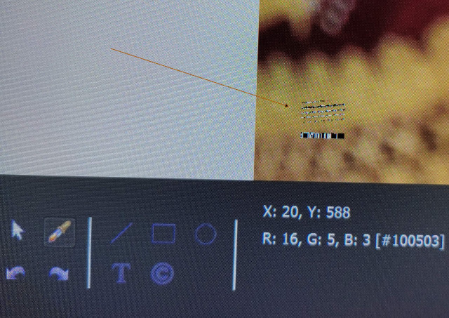 1657387686386.jpg