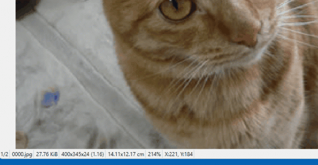 rectangle.gif
