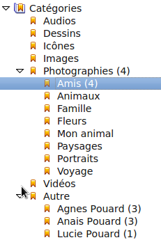 Categories display on XnviewMP