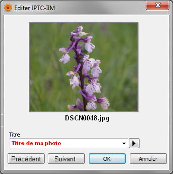 sug07.png
