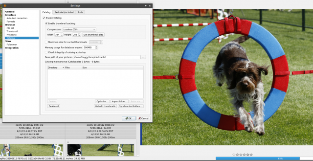 xnviewmp-catalog-settings_2022-09-12_07-38-37.png