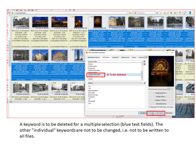 Multiple Selection - XnView MP.png