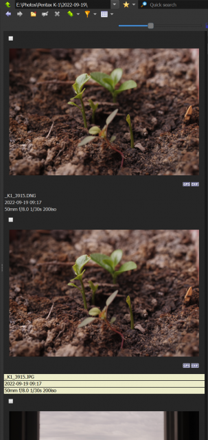 2022-09-20 15_04_58-E__Photos_Pentax K-1_2022-09-19_ - XnView MP.png
