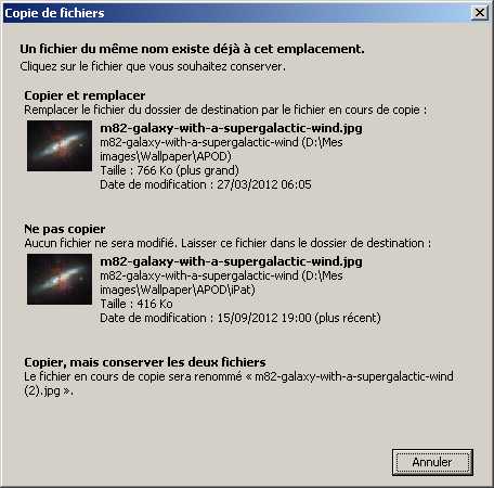 Windows Vista-Overwrite-Dialog.jpg