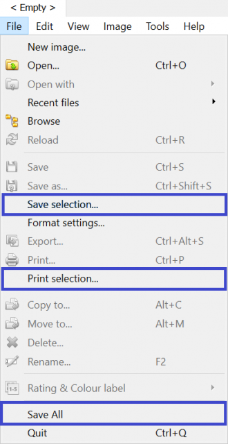 empty_tab_enabled_menu_options_File.png