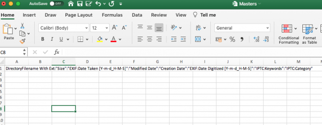 csv opened in Excel.png