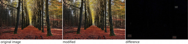 image_comparison.jpg