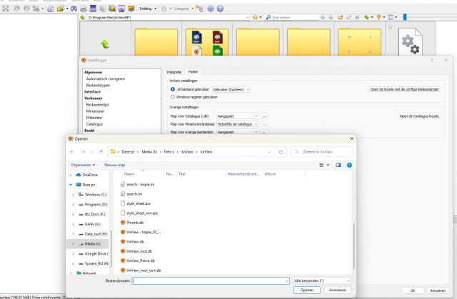 Files in \user\Appdata\roaming\Xnview\