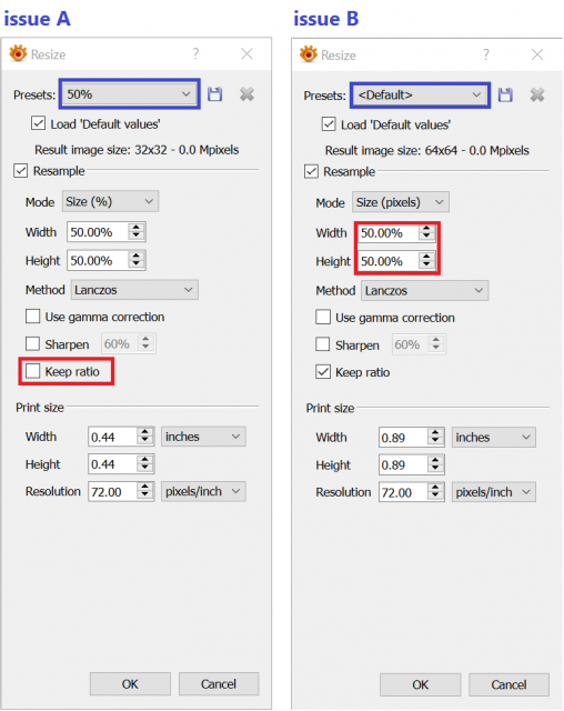 image_canvas_resize_percent_in_default_values.png
