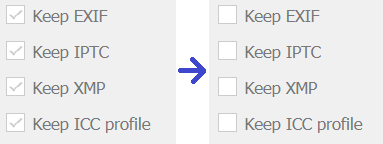 checkboxes_shall_be_unticked_if_format_does_not_support_metadata.png