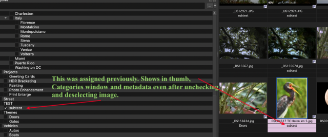 Category unassign attempt.png