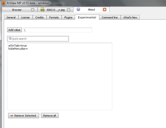experiment-ini-tweak-gui-mock.png