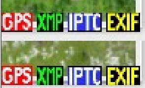 overlay.jpg